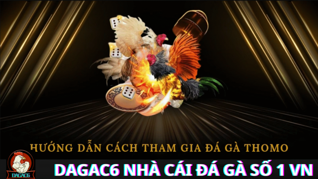 ĐÁ GÀ C6 TRỰC TIẾP HÔM NAY Tất Tần Tật Về Gà Chọi Và Thế Giới Đá Gà