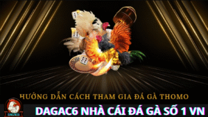 ĐÁ GÀ C6 TRỰC TIẾP HÔM NAY Tất Tần Tật Về Gà Chọi Và Thế Giới Đá Gà