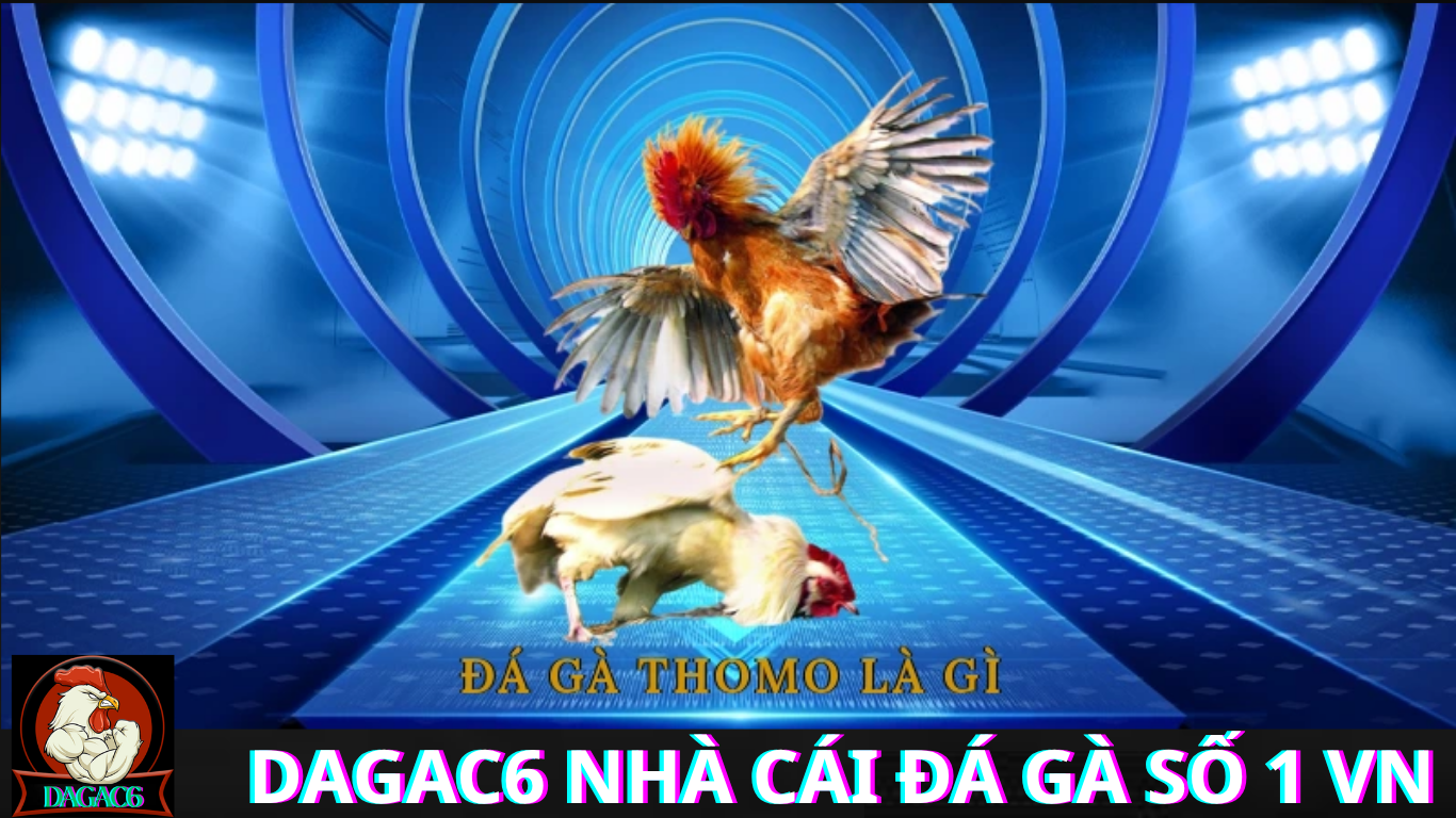 Trực Tiếp Đá Gà CPC3 Hôm Nay – Thông Tin Cập Nhật Liên Tục