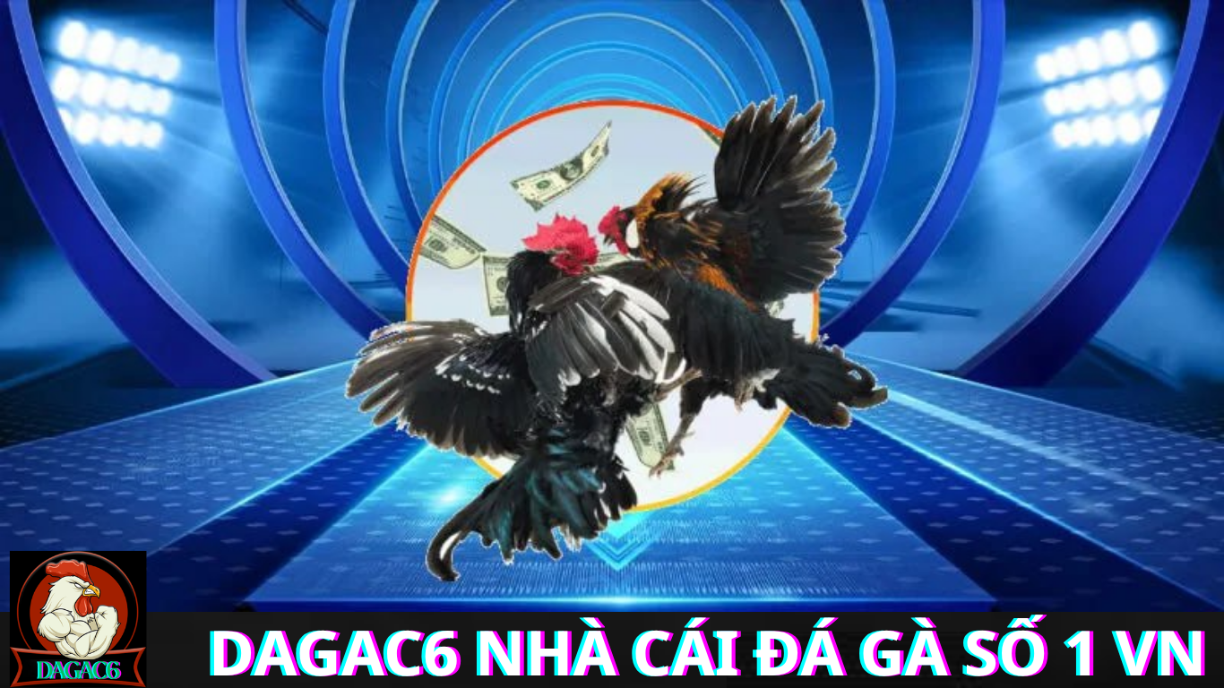 Những điều cần biết khi theo dõi đá gà CPC3