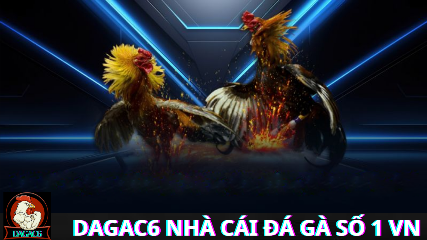 Lợi ích khi tham gia Trực Tiếp Đá Gà CPC3 Hôm Nay