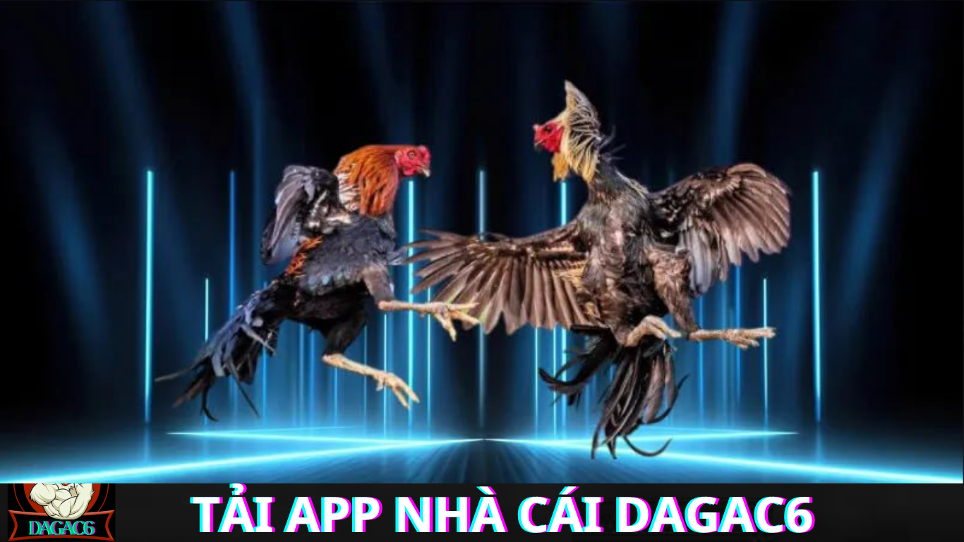 Cách Tải App Nhà Cái DAGAC6