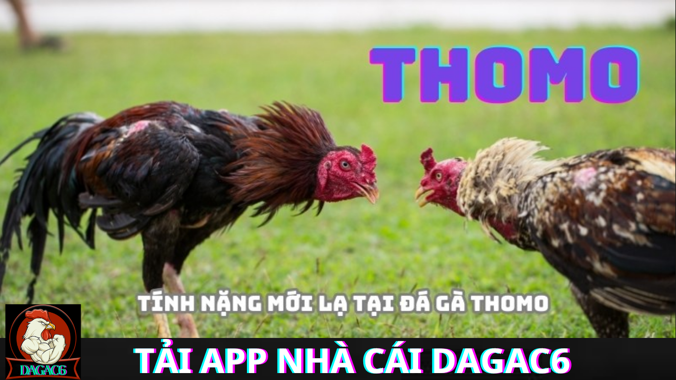 Hướng Dẫn Tải App Trên Điện Thoại iOS