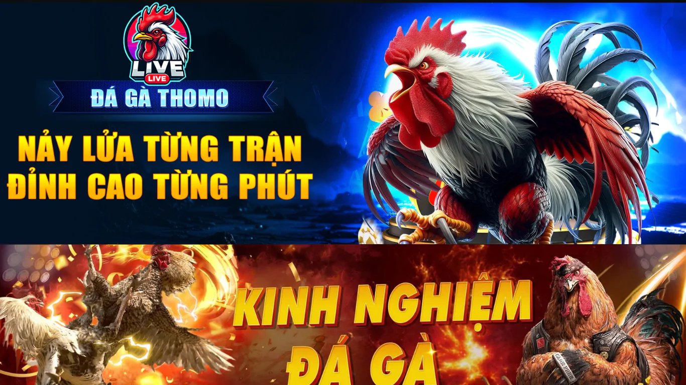 DAGAC6 Trang Chủ Nhà Cái Trực Tiếp Đá Gà Cắn Sắt CPC4 - CPC5 -CPC6 SỐ 1 Việt Nam