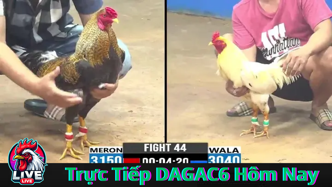 Khuyến Mãi và Chương Trình Thưởng Tại DAGAC6